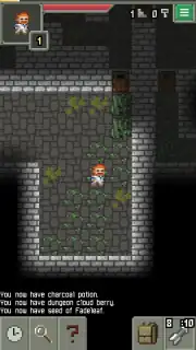 Sprouted Pixel Dungeon capture 10