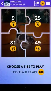 100 PICS Puzzles capture 5