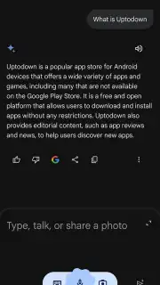 Google Gemini capture 13