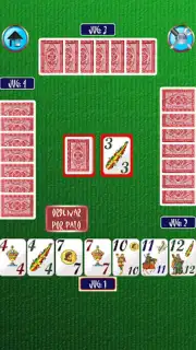 chinchonHD capture 13