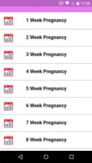 Pregnancy Weekly capture 2