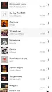 BiRD - Музыка из ВК capture 1