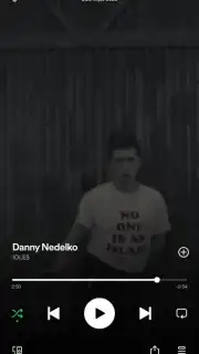 Spotify capture 9