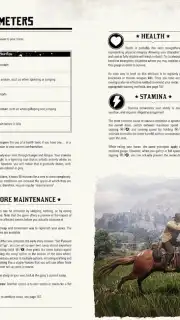 RDR2: Companion capture 4