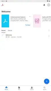 Adobe Acrobat Reader capture 12