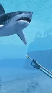 Sharks VR capture 4