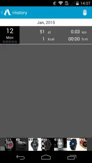 Accupedo Pedometer capture 1