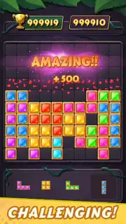 Block Puzzle capture 10