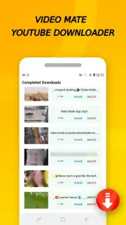 Vidora YouTube Downloader | free & fast capture 12