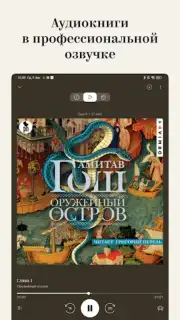 Bookmate. Books & Audiobooks capture 5