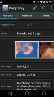 Pregnancy Assistant capture 3