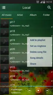 Music Player capture 9