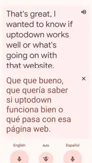 Google Translate capture 1