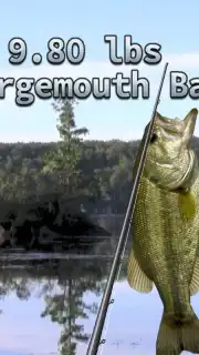 i Fishing 3 Lite capture 6