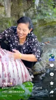 Baidu capture 14