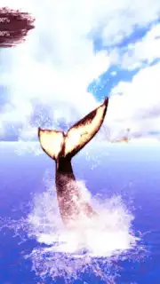 The Humpback Whales capture 23