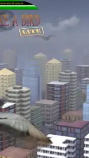Fly like a bird 3 lite capture 3