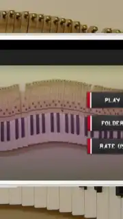 Piano capture 5