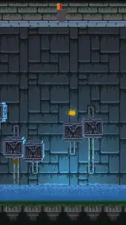 Adventure Llama capture 8
