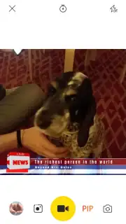 V Camera capture 4