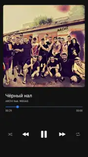 BiRD - Музыка из ВК capture 5