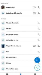 Skype capture 7