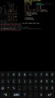 Dungeon Crawl: Stone Soup capture 11