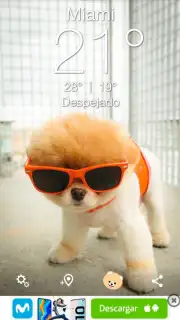Boo Weather capture 3