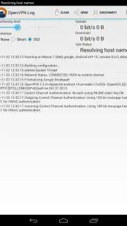 OpenVPN capture 8