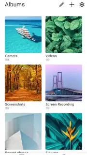 vivo Gallery capture 2