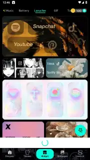 WidgetKit capture 2