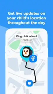 Pingo capture 2