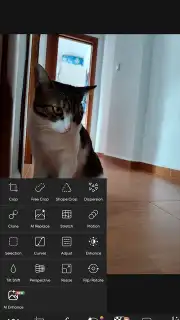 PicsArt capture 24