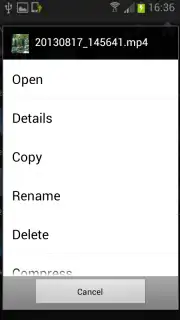 File Selector/Explorer capture 3