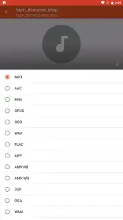 Audio Converter capture 3