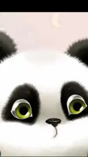 Panda Chub Live Wallpaper Free capture 1