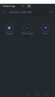 Web Browser capture 7