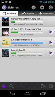 BitTorrent capture 3