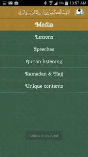 Al-Haramain capture 6