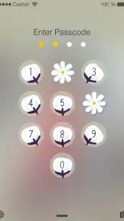 PIP Lock Screen capture 23