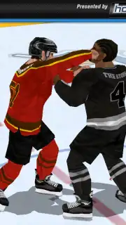 Hockey Fight Lite capture 4