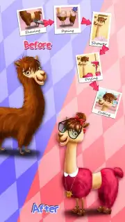 Animal Hair Salon capture 9