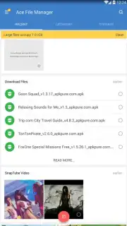 Ace File Manager capture 7