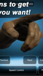 Hand Mannequin capture 5