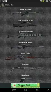 Gun Camera capture 6