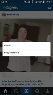 InstaSniper capture 2