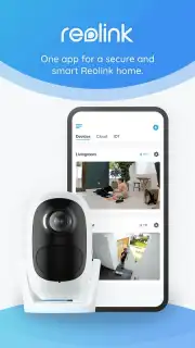 Reolink capture 1