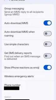 Google Messages capture 12
