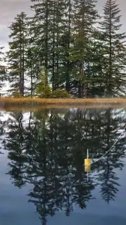 My Fishing World capture 4