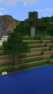 Minicraft: Block Craftarena 3D capture 4